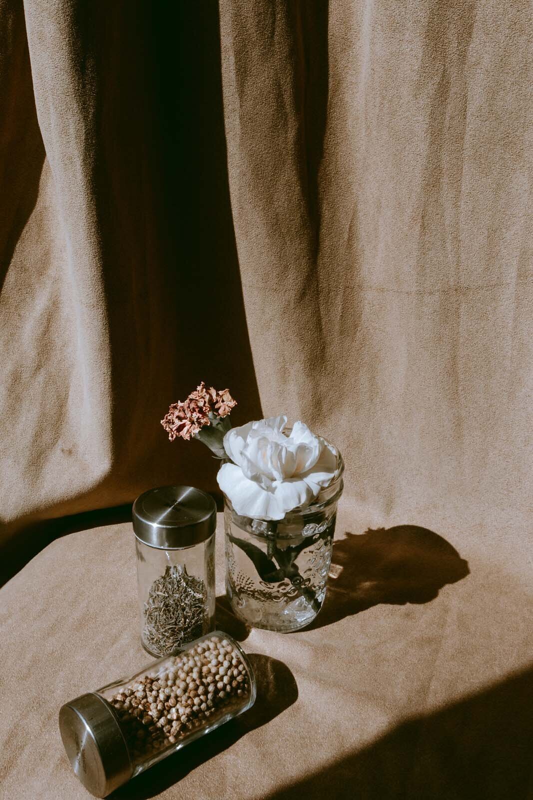 natasha-reddy-v8DaxJpiyPk-unsplash