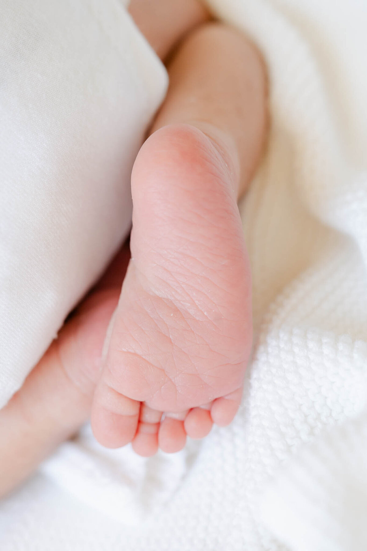 Delaware-Newborn-Photographer-1141