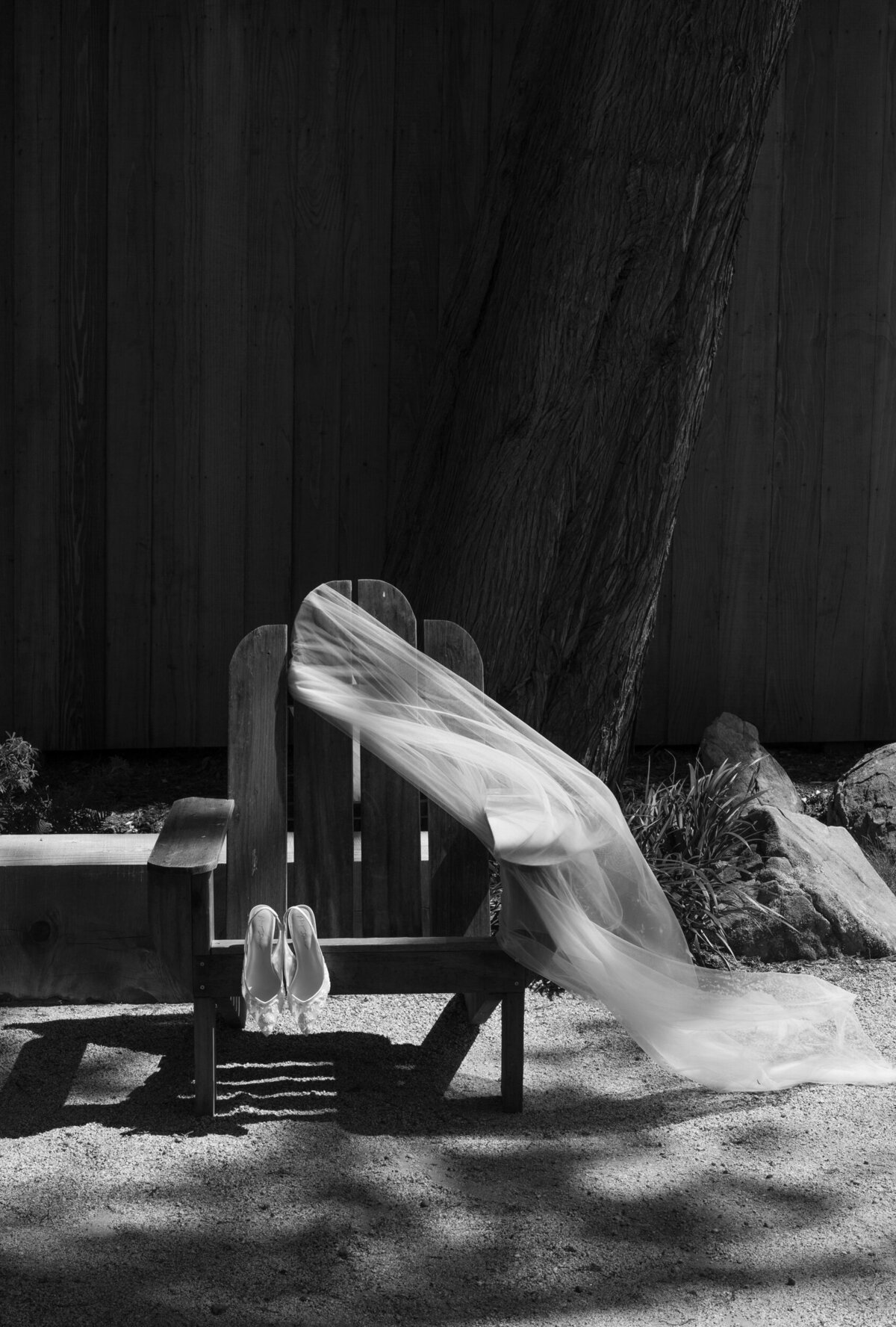 emily & Daniel-211