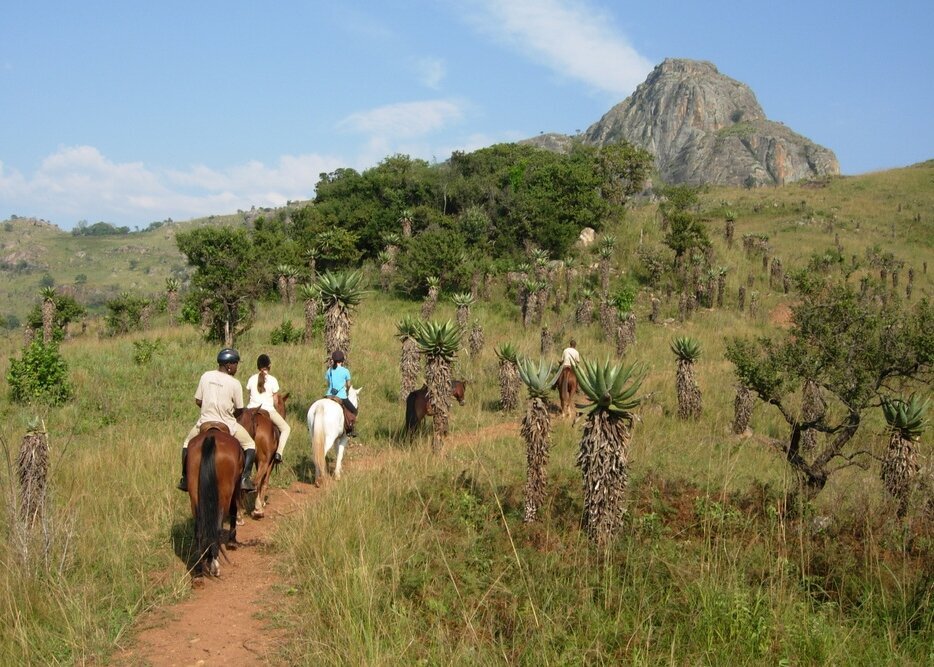 Zuid-Afrika-Swaziland-Cave-trail-paarden