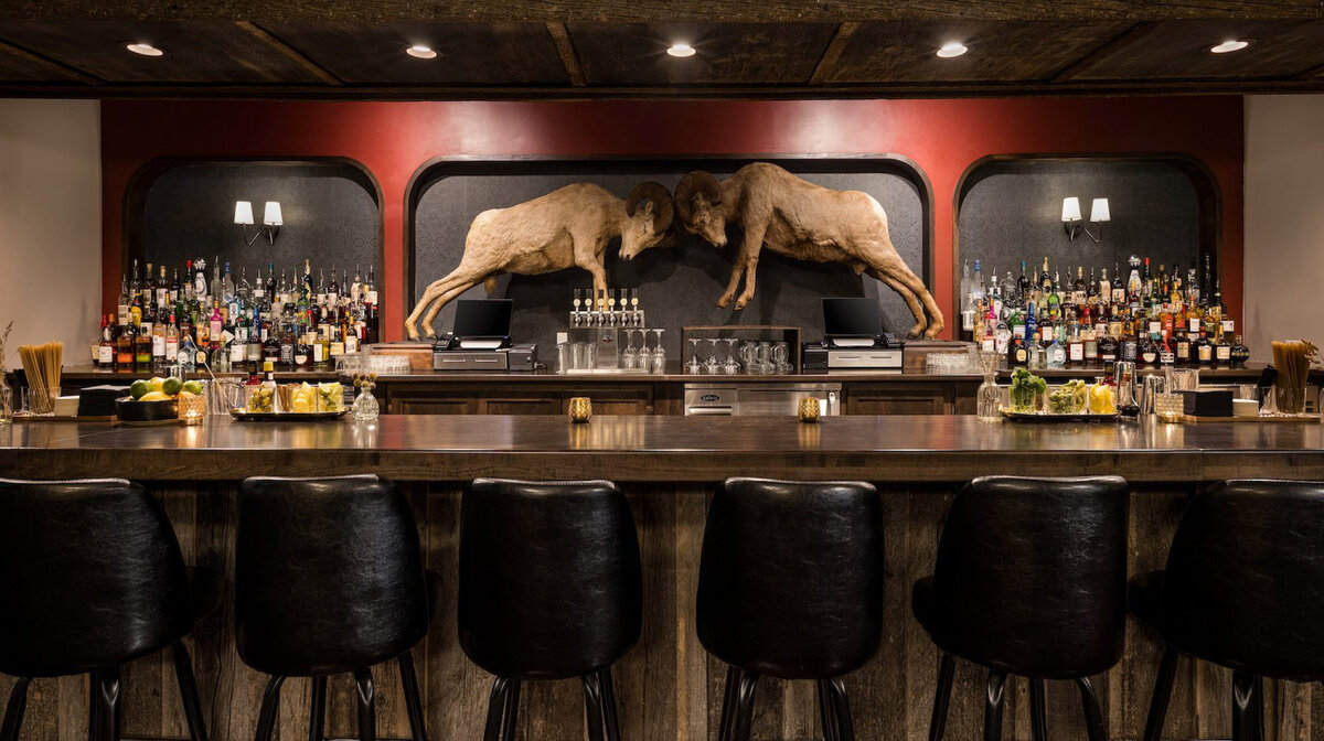 bison bar