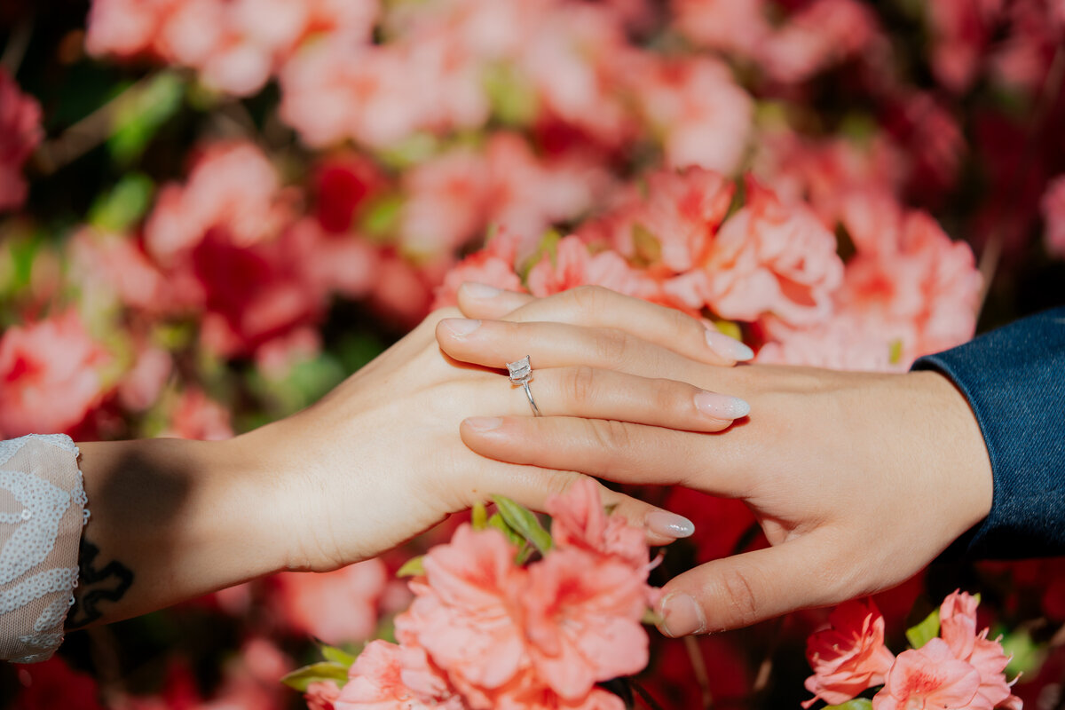 Veronika + Jawad 5-06-23-157