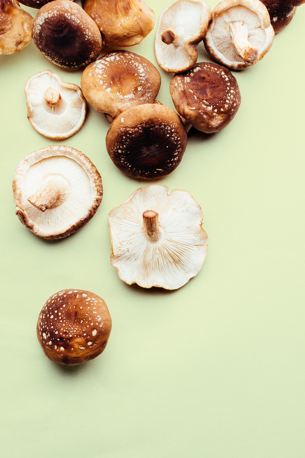 Shiitake Mushrooms Coloricious Food Photography