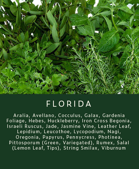 Greenery-Florida