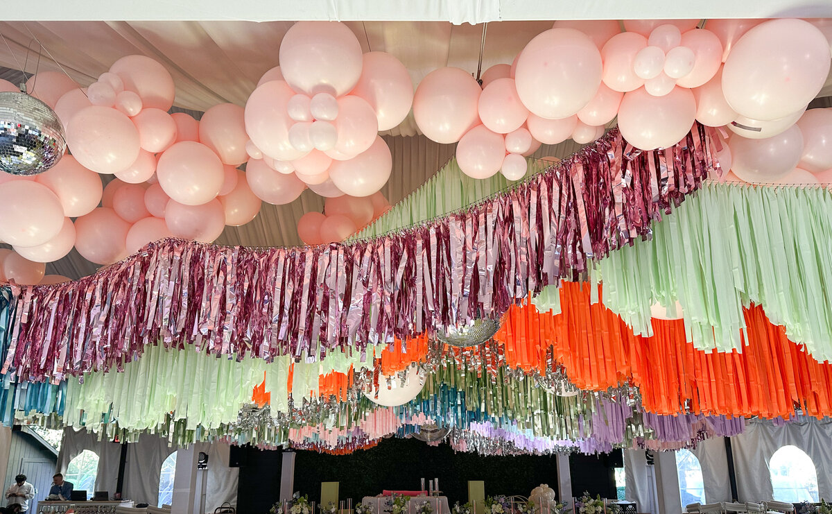 orange county - parties21