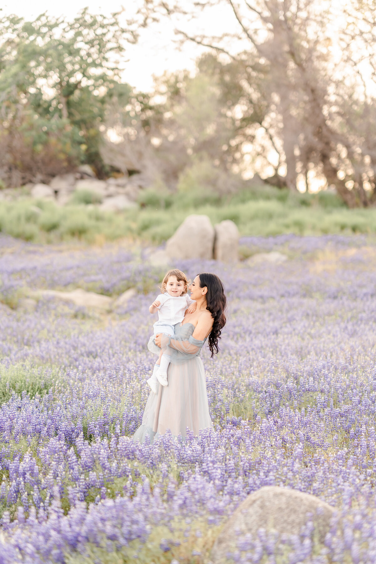 A mother stands in a field of purple lupines wearing a long light grey gown holding and staring lovingly at her son photographed by bay area photographer, Light Livin Photography.