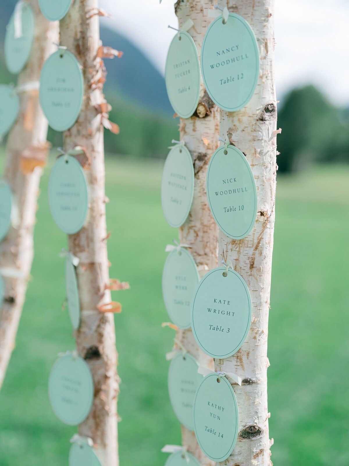 aspen-tree-escort-display
