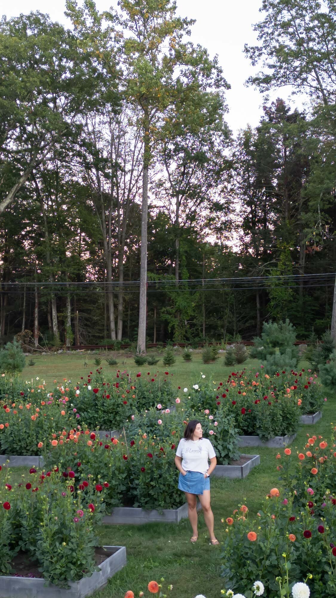 Blooms-Of-Lost-Acres-Gabrielle-portrait-with-dahlias