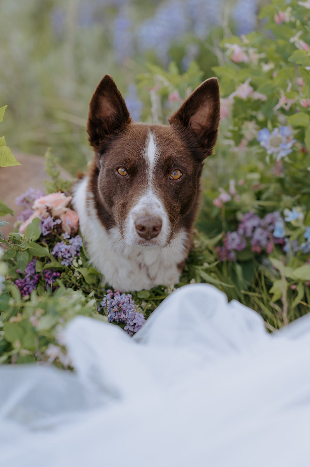 Carly-Patrick-Sheridan-Wyoming-Elopement-033