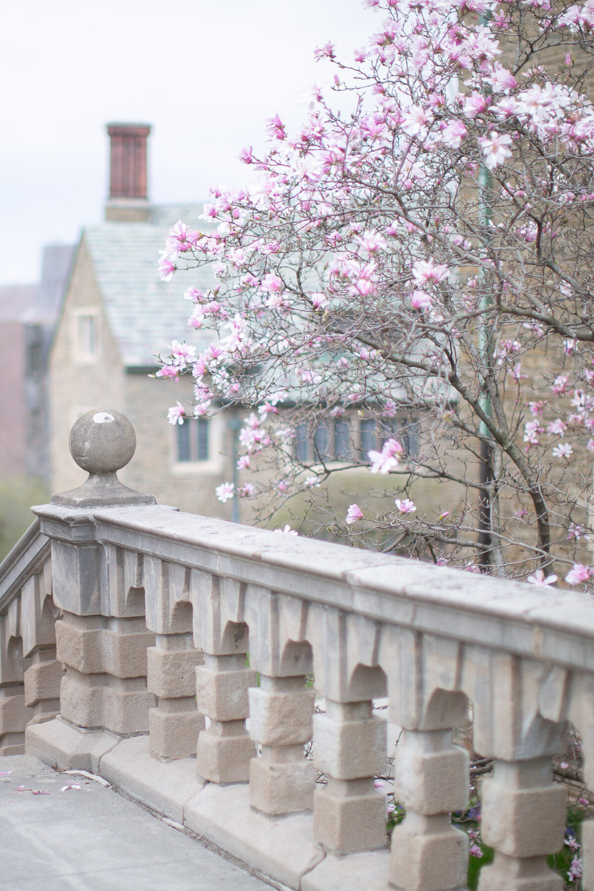 Cornell Engagements_Blush Wood Studios-12
