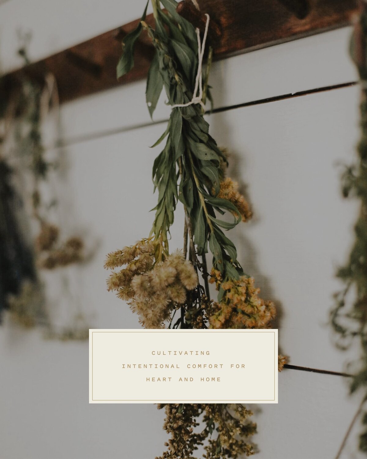 Field+Bee_LaunchGraphics_Instagram105