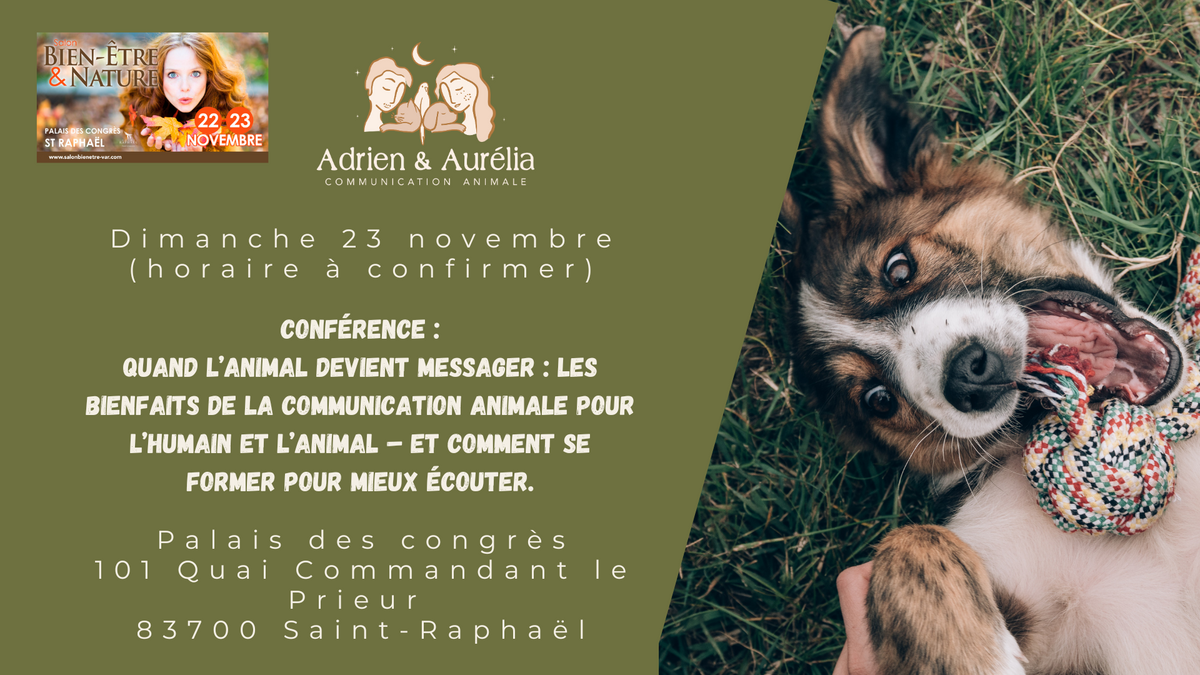 salon cavaillon