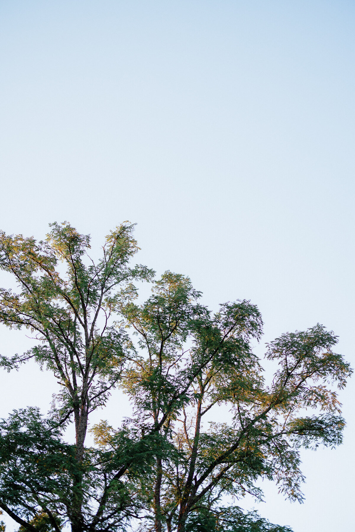 Modern_Chic_Chateau_Valouze_Destination_Wedding_Photographer-70