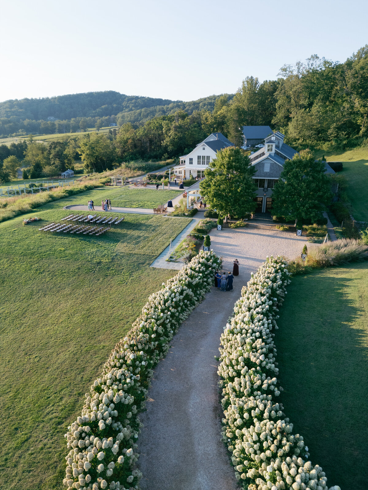 Allison Dash Photography Pippin Hill-1