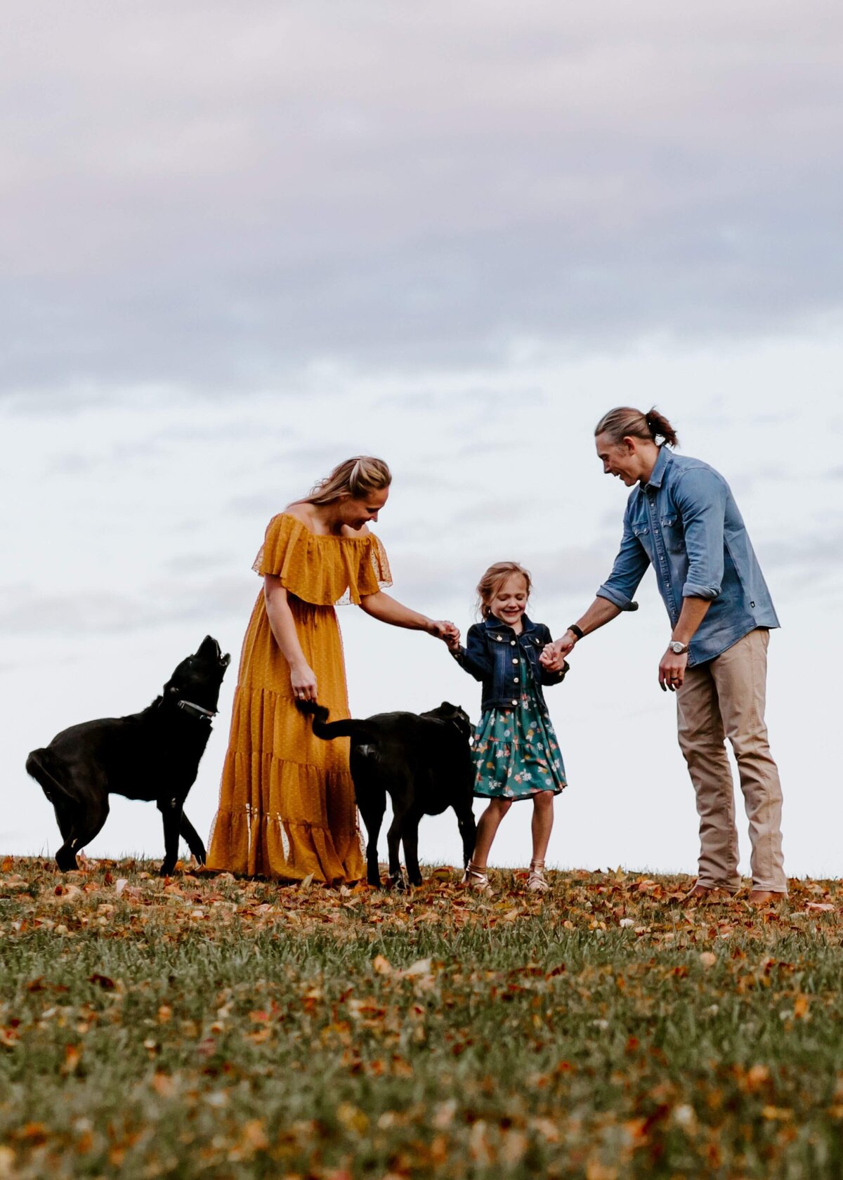 A Pittsburgh family photographer captures a family with two dogs and a child in a field.