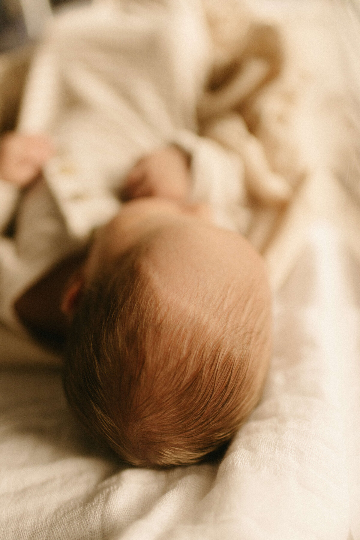 Older sibling kissing newborn’s head during Nashville Fresh 48 hospital session.