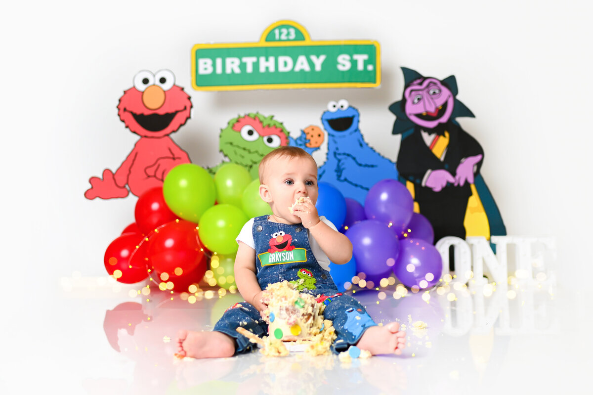 Sesame Street CakeSmash10