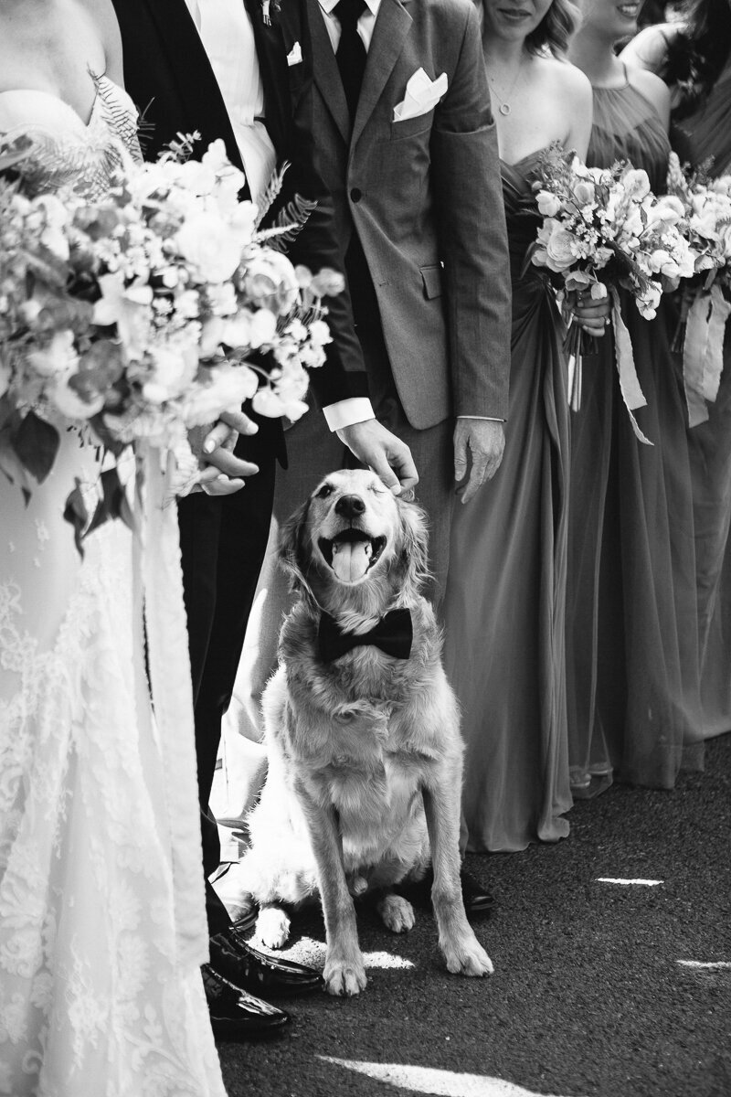 Napa-valley-wedding-calistoga-rustic-wedding-INBAL-DROR-the-dejaureguis-photographers-erin-and-courtney-0013