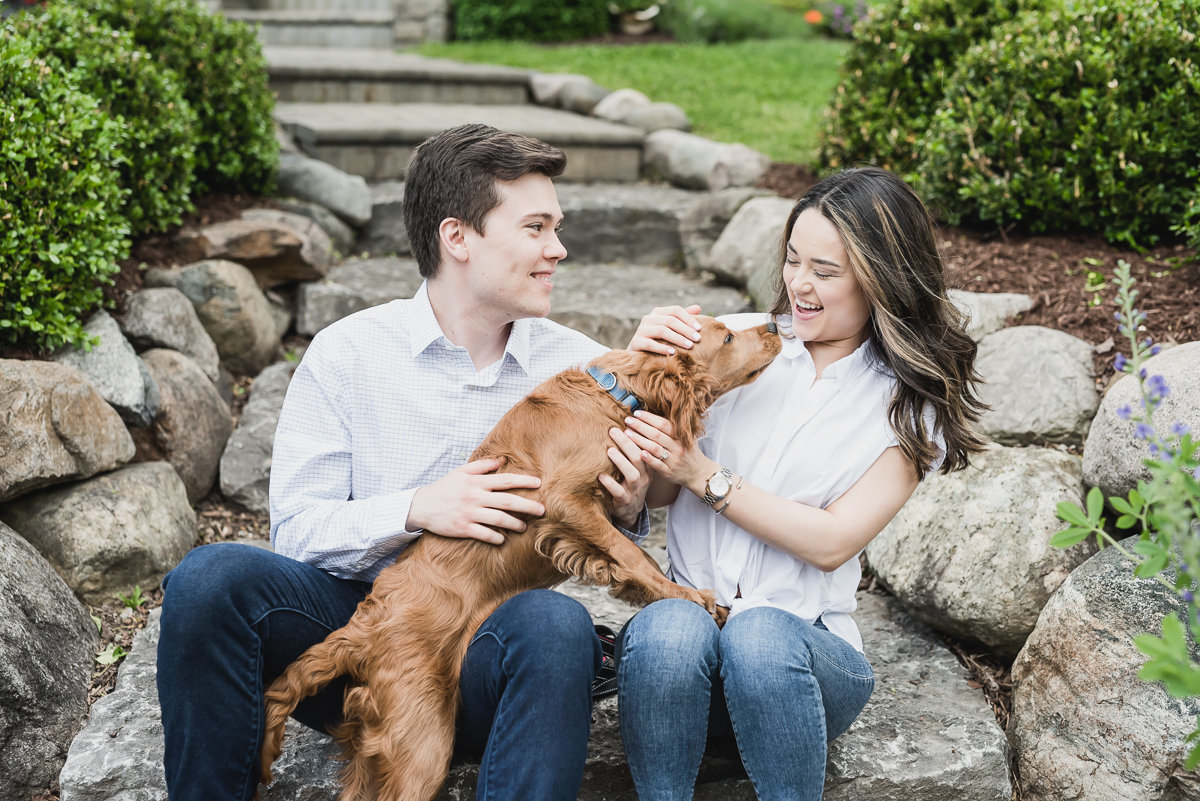 ann arbor engagement photos with dogs