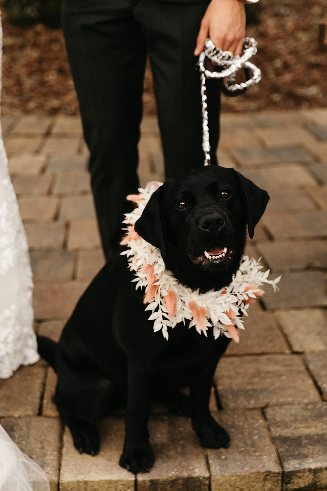 Meghan_Caeleb_Wedding_Wearethebowsers-243
