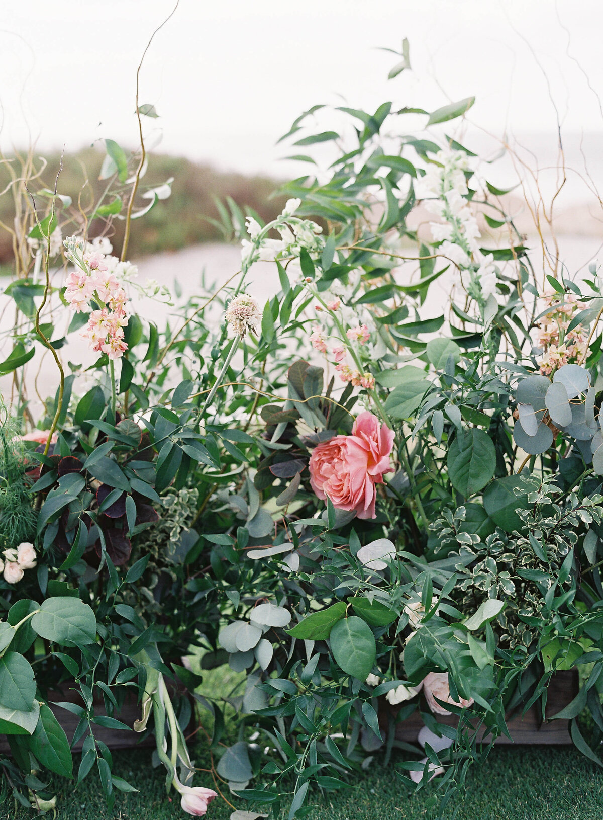 South_Seas_Island_Resort_Captiva_Island_Wedding_Photographer-16