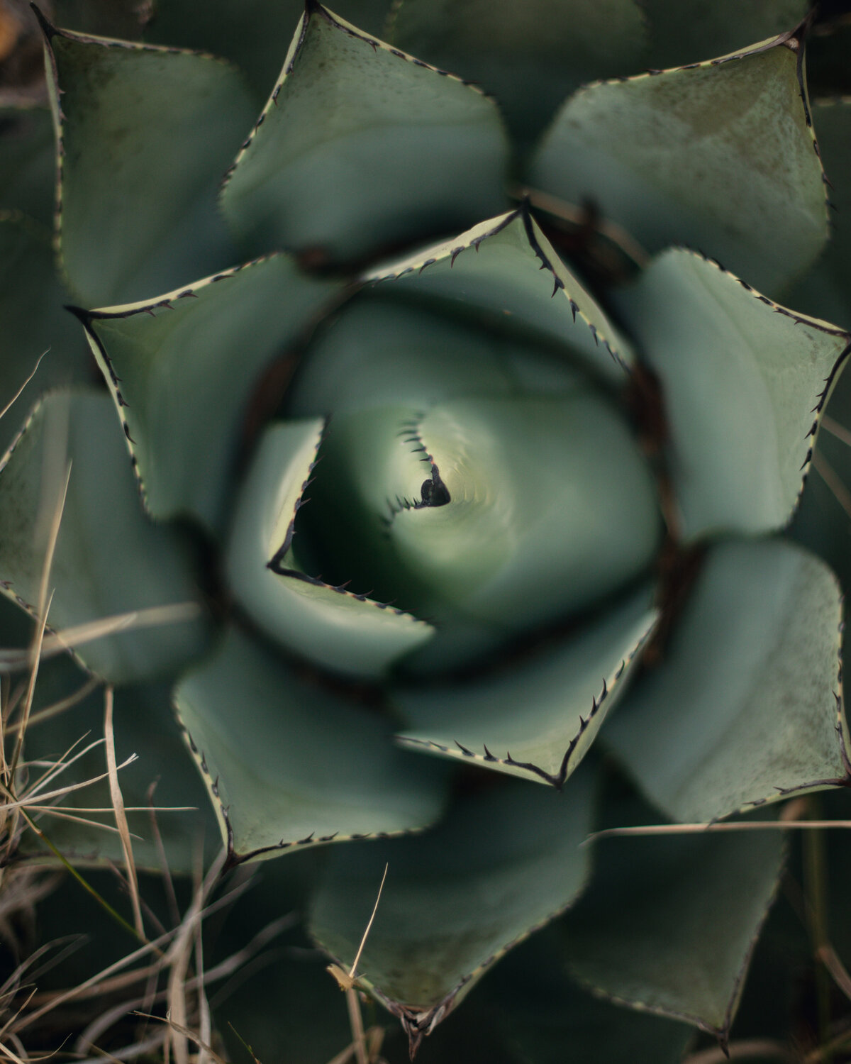 KEB_0961