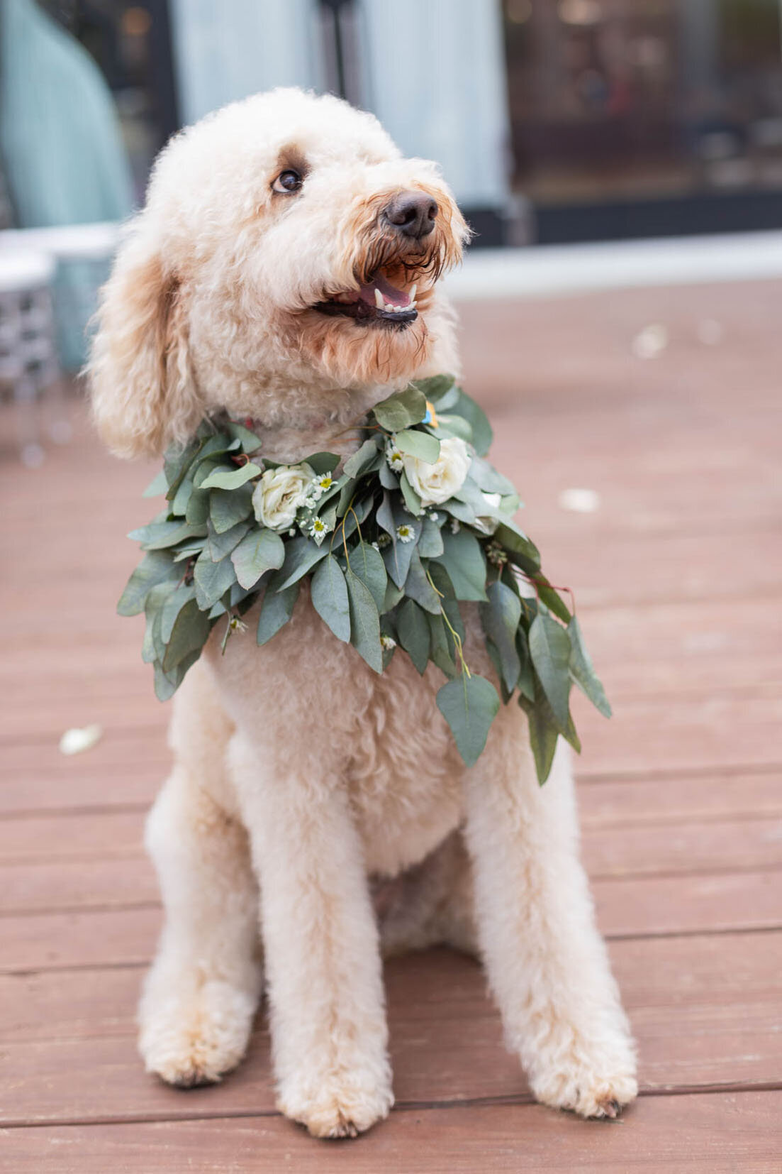 Best-Atlanta-Wedding-Photographer-67
