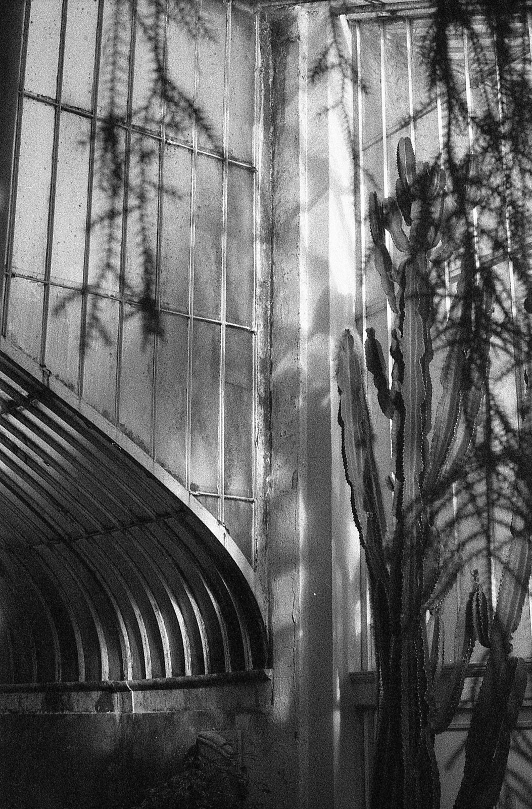 film-wedding-photographer-ireland-35mm-luxury (88)