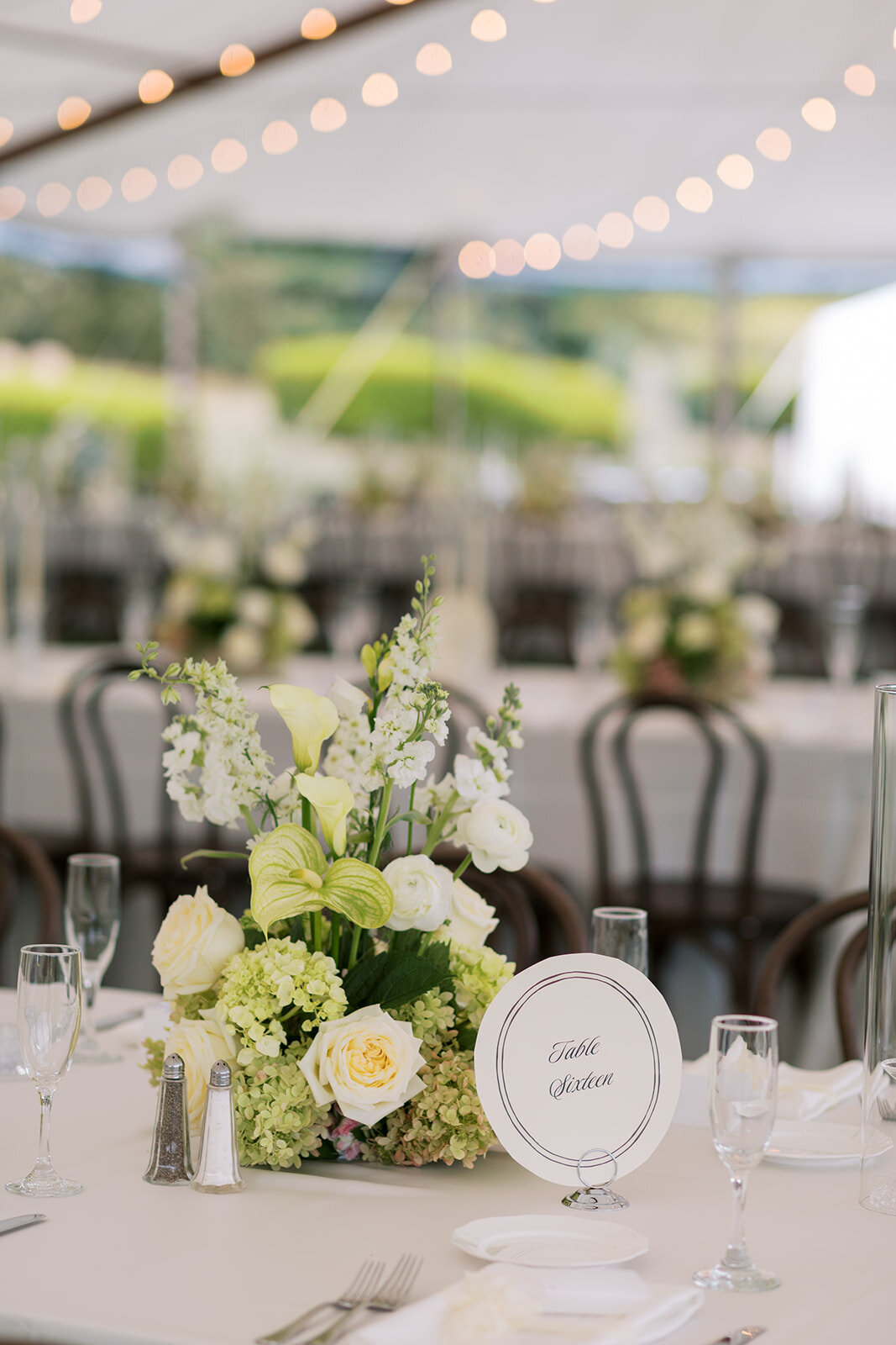 wedding-photos-french-park-61