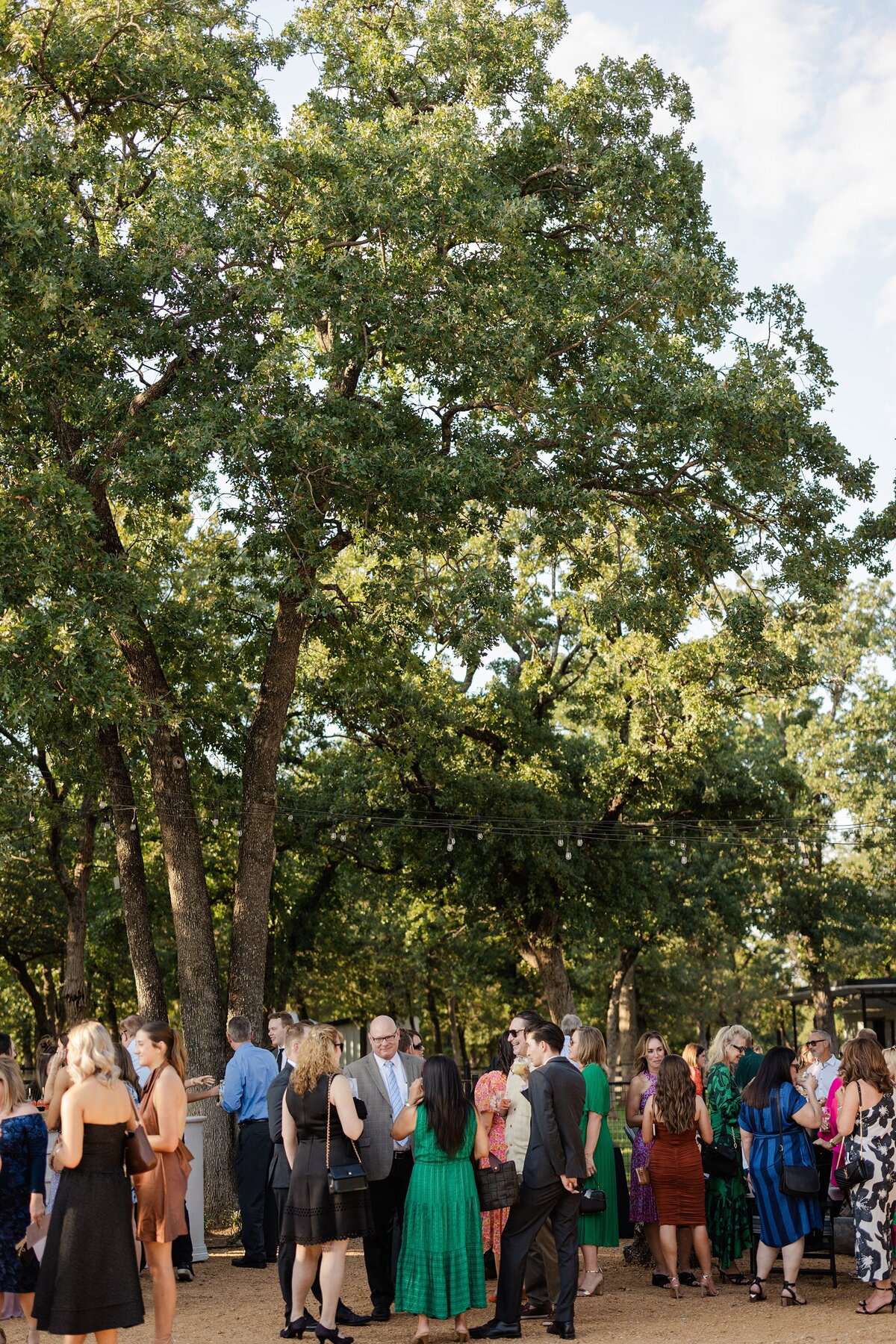 A candid shot of a cocktail hour right before the start of a wedding reception at Bella Cavalli Events in Aubrey, Texas. Many guests can be seen mingling and drinking in small groups while the whole scene is backed by multiple, large trees.