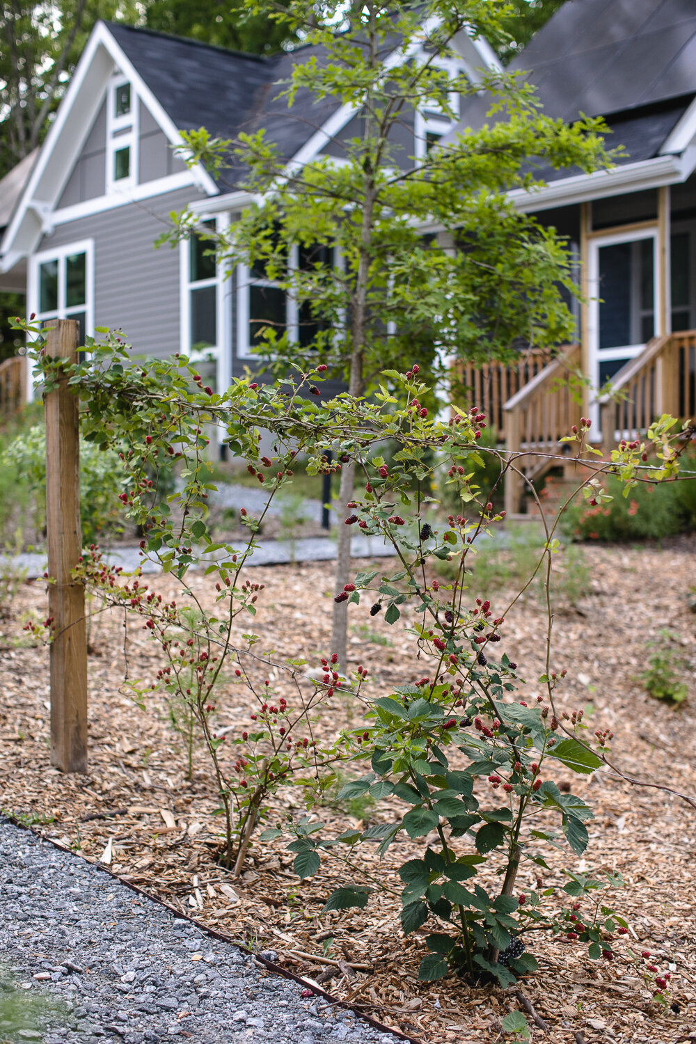 LOW-RES-MicroLife-Cottages-Atlanta-Shades-of-Green-Erik-Meadows-Photography-41