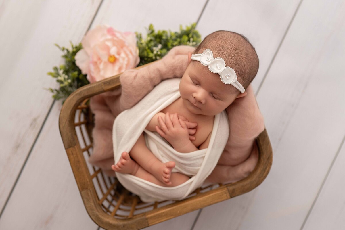 tricities wa newborn girl photography