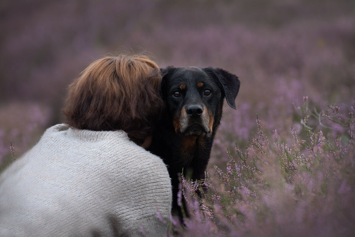 Hart en zielsessie, herinneringen, afscheodsshoot, precious moments
