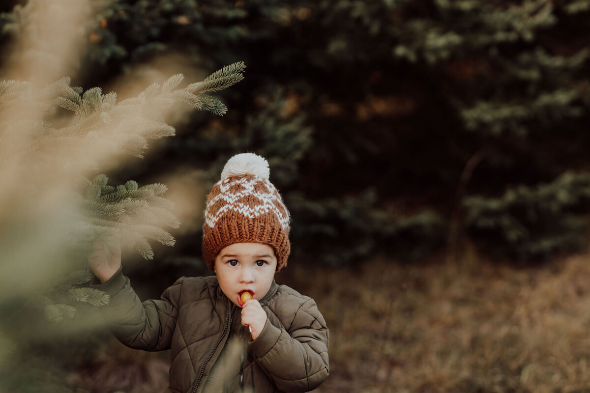michigan family photographers19