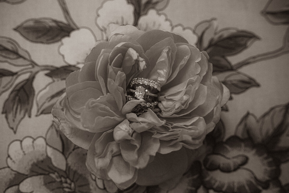 WED_0942
