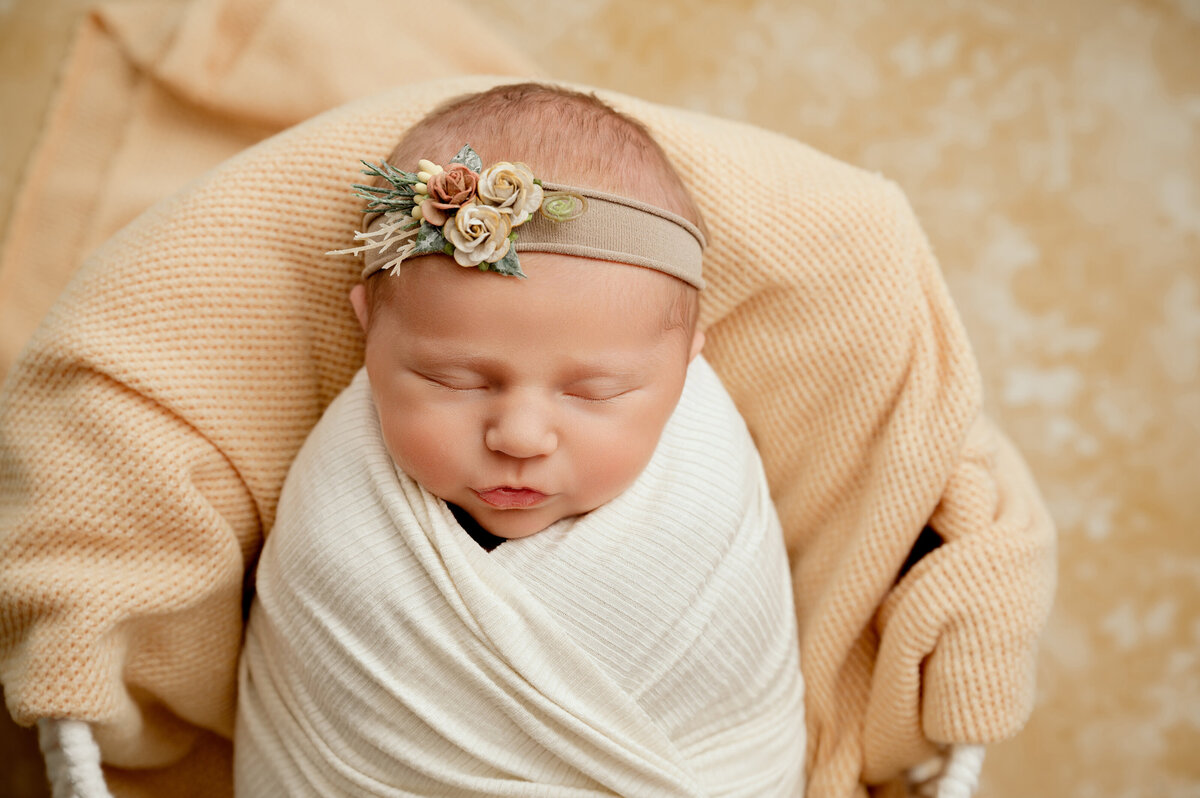 Central Minnesota Newborn Photographer -  Nicole Hollenkamp - Princeton MN St Cloud MN-4560