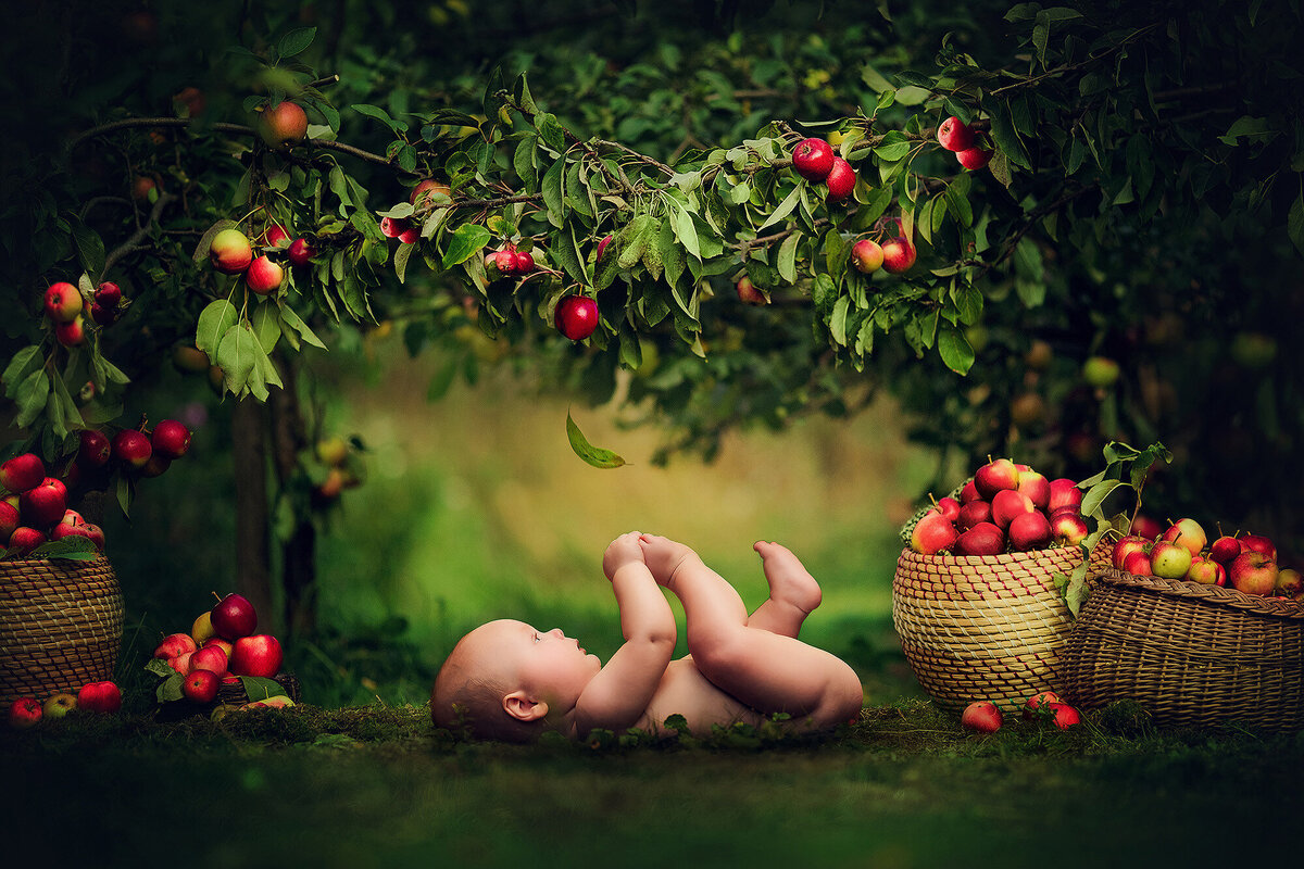 Baby plays with his toes in an enchanted apple orchard photo session by Kara Reese Photography.