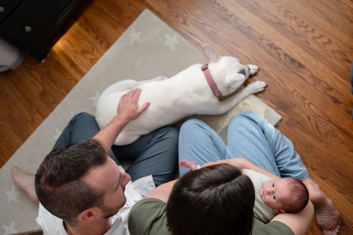 Birmingham-michigan-in-home-Newborn_5043