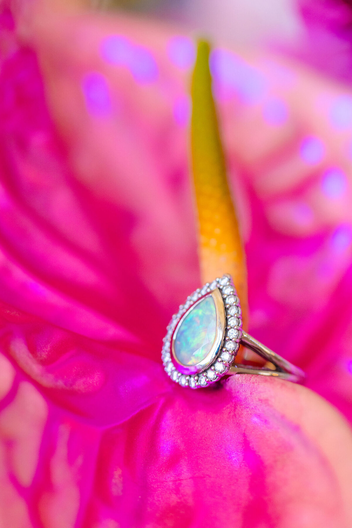 San-Francisco-Wedding-Photographer-42