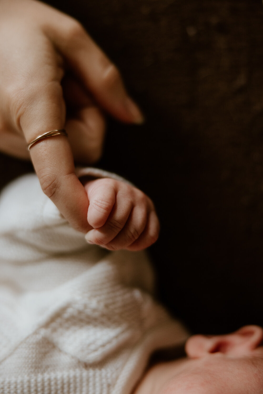 Newborn-Photo-Session-Columbia-South-Carolina-6