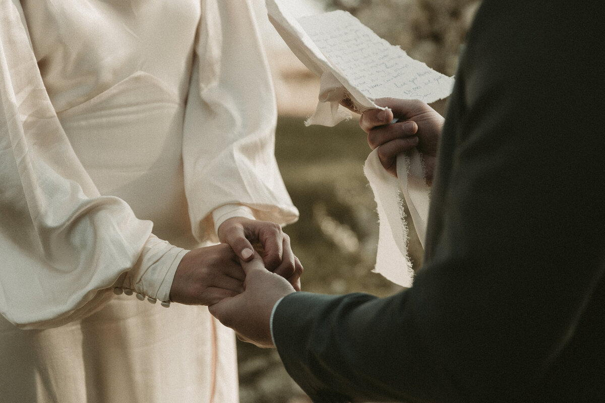AbbyReePhotography-CrookPointElopement-258