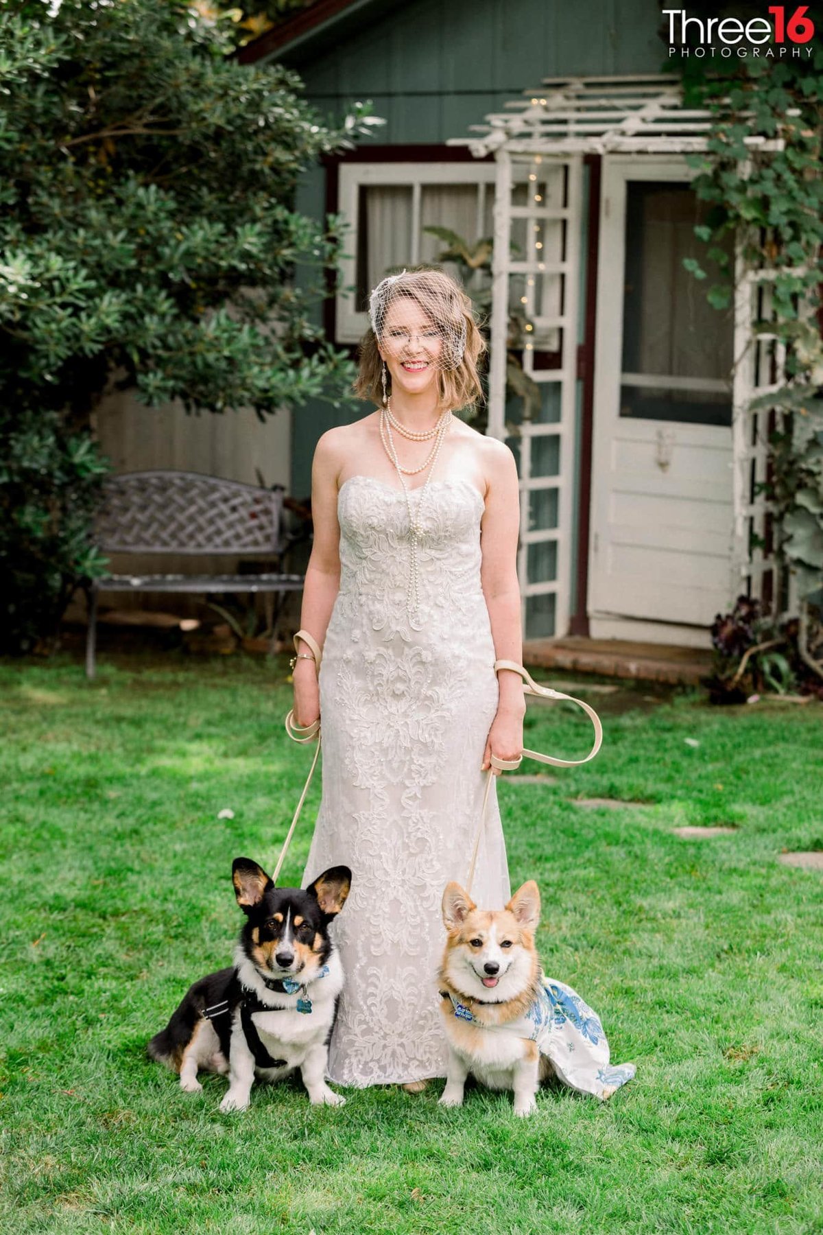 Bride poses with her dogs after her ceremony