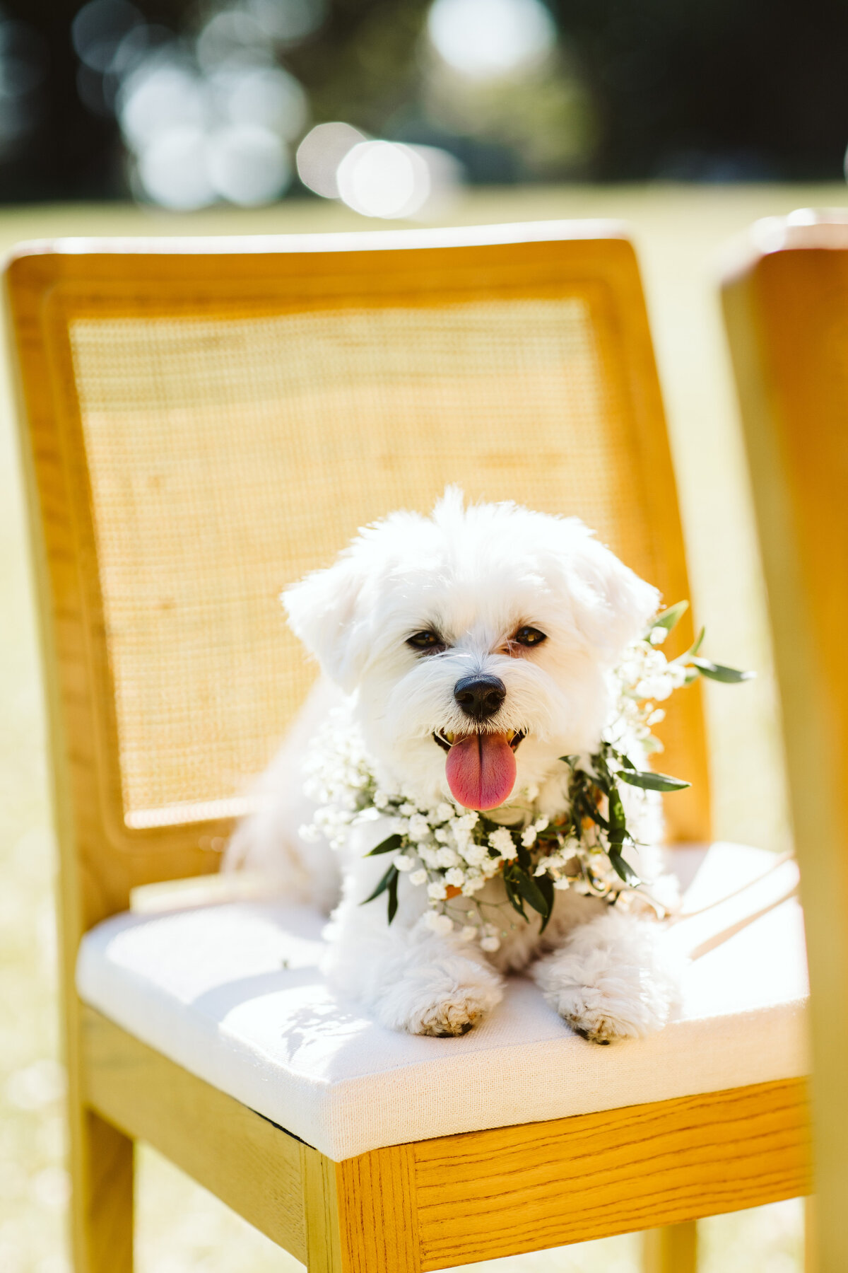 seattle-elopement-photographer-kelly-lemon-jade+jordan-44