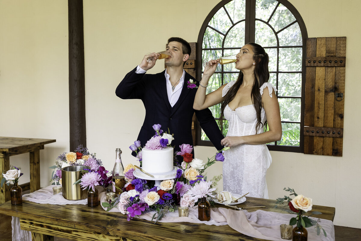 0201-cara-dehart-lewis-photography-del-favero-oasis-tampa-elopement-in-florida-chantilly-chic-celebrations