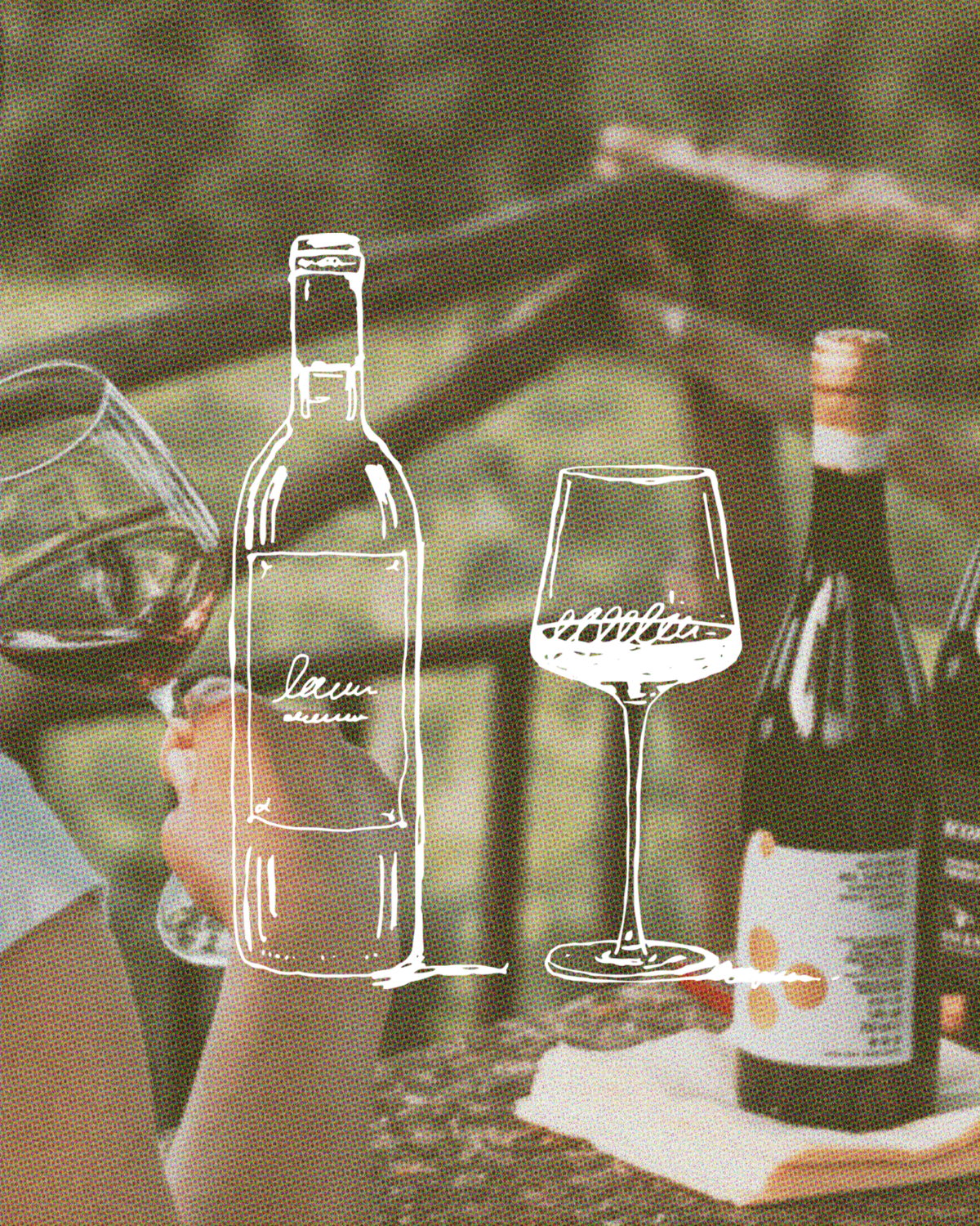 winery illustrations