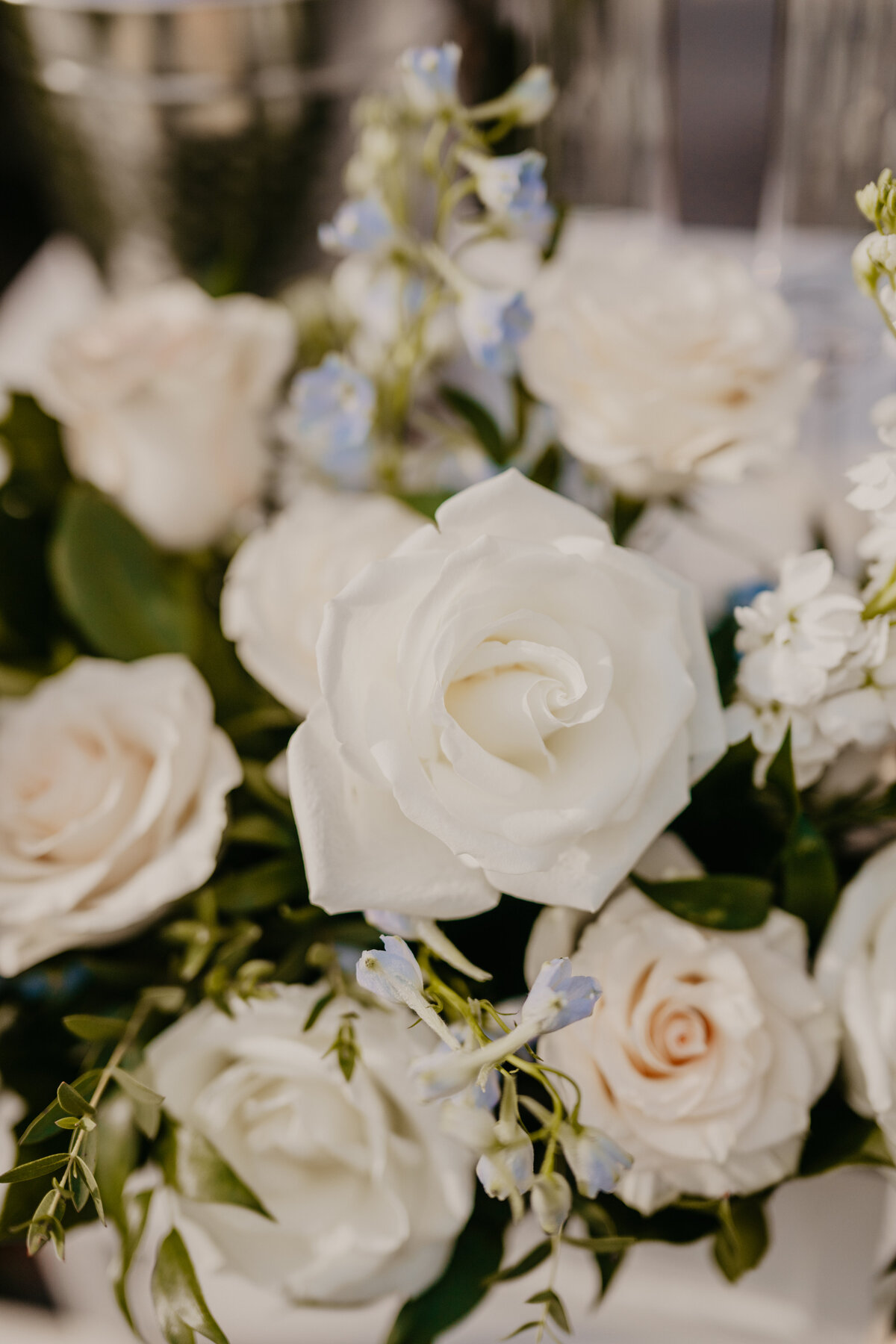 mariah-lacy-photo-granada-terrace-park-elope-chantilly-chic-celebrations-30