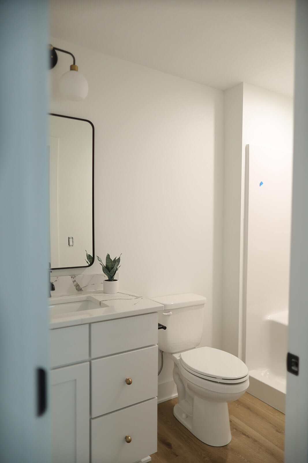 4758-Panorama-Drive-Bathroom-Interior-Design-Grimes-Des-Moines-Waukee-West-Des-Moines-Ankeny-Lake-Panorama-Central-Iowa--Interior-Design-Grimes-Des-Moines-Waukee-West-Des-Moines-Ankeny-Lake-Panorama-Central-Iowa-3F1A1160