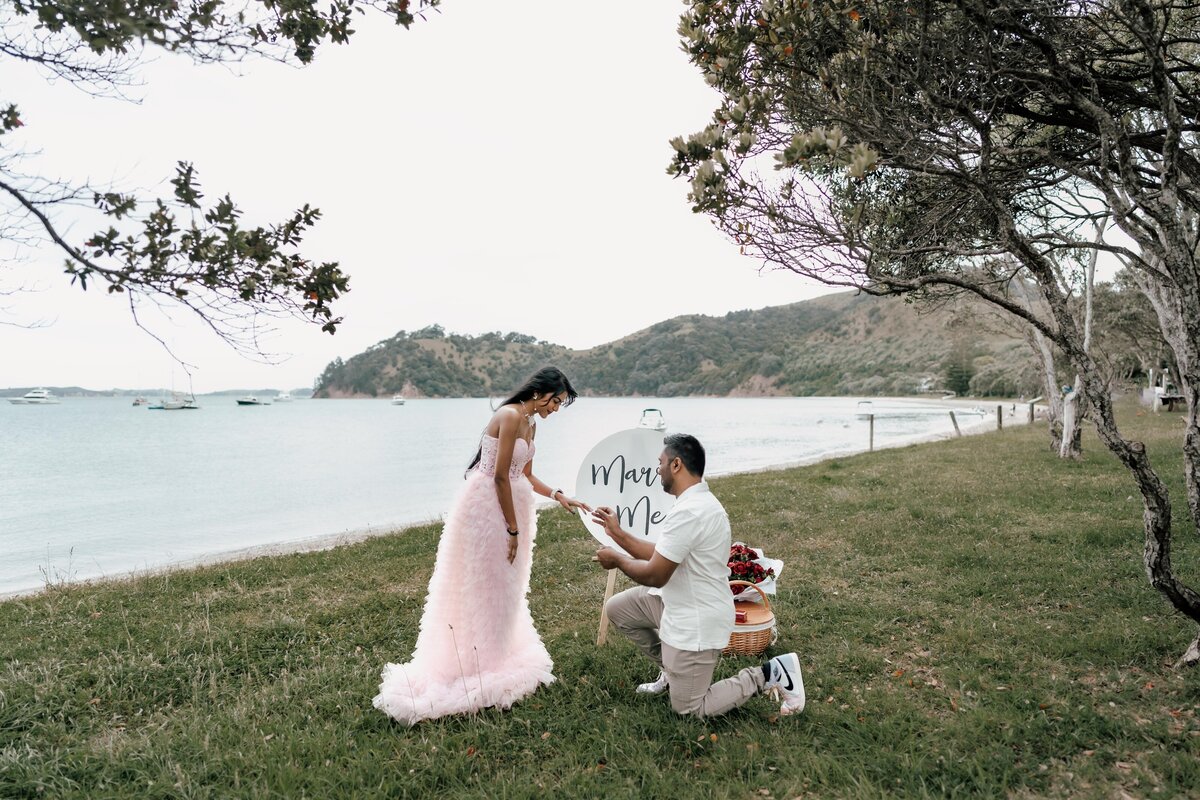 Shoneel&Monisha-3