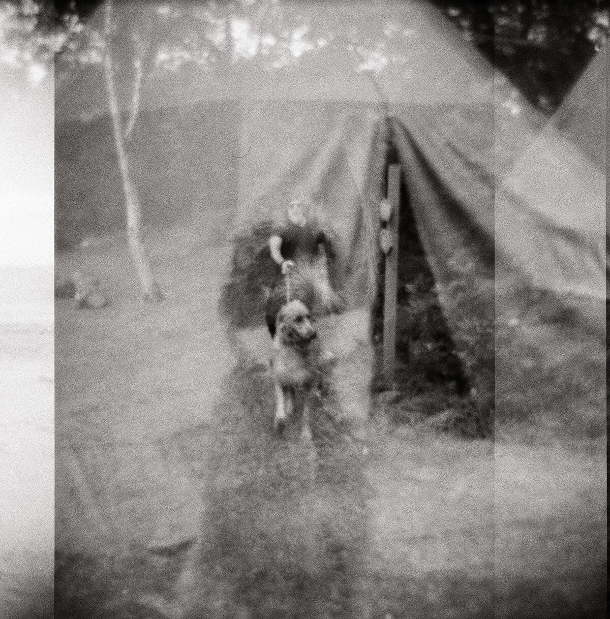 film-wedding-photographer-ireland-35mm-luxury (61)
