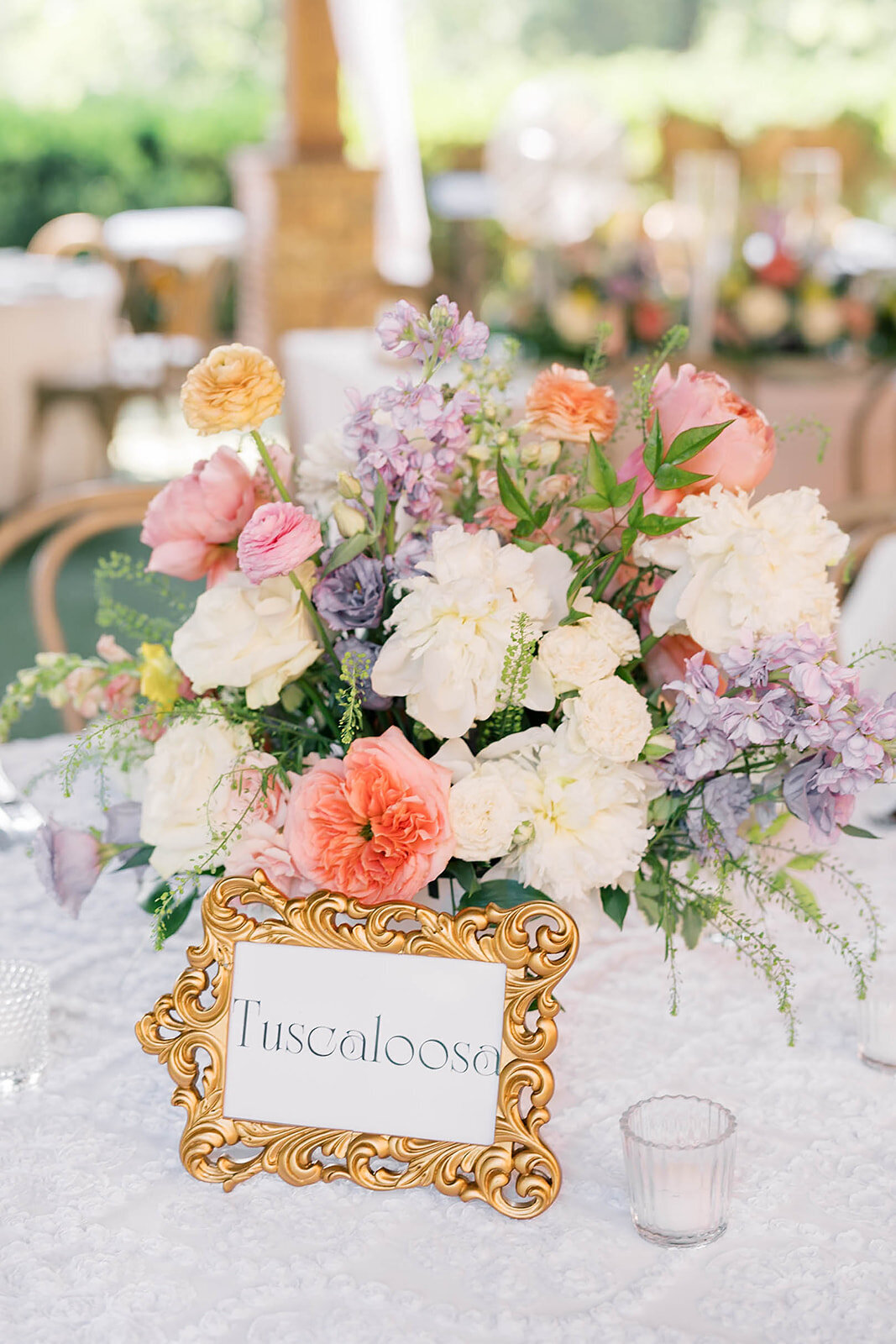 BARNSLEY RESORT WEDDING-08036